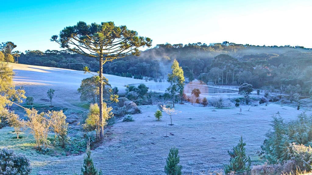 Inverno em Santa Catarina: O que fazer em SC na estação mais fria do ano